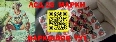 прущие грибы Донской