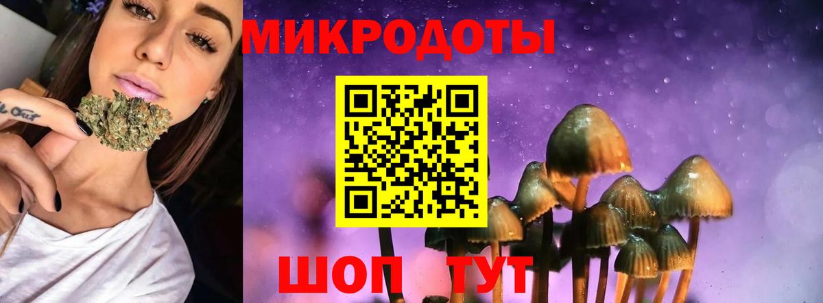 где можно купить   Галлюциногенные грибы мухоморы  Медногорск  Вход с VPN  Галлюциногенные грибы мицелий 